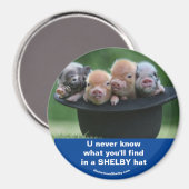 ハット マグネット (正面/裏面)