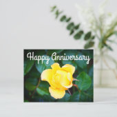 ハッピアニバーサリー ウォーキング オン サンシャイン ローズ #1 ポストカード (スタンド正面)