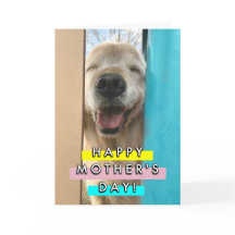 ハッピーアイリーミングゴールデンレトリバードッグマザーズデイ