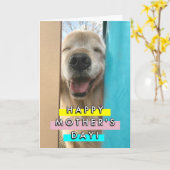 ハッピーアイリーミングゴールデンレトリバードッグマザーズデイ カード (黄色い花)