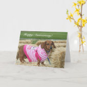 ハッピーアニバーサリーダックスシュントあいさつカード カード (黄色い花)