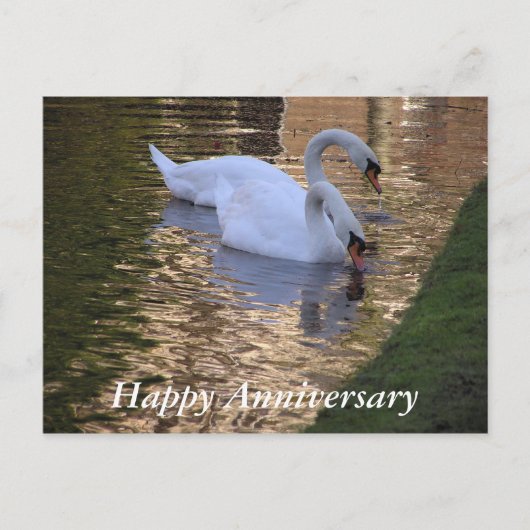 ハッピーアニバーサリーハガキ ポストカード (正面)