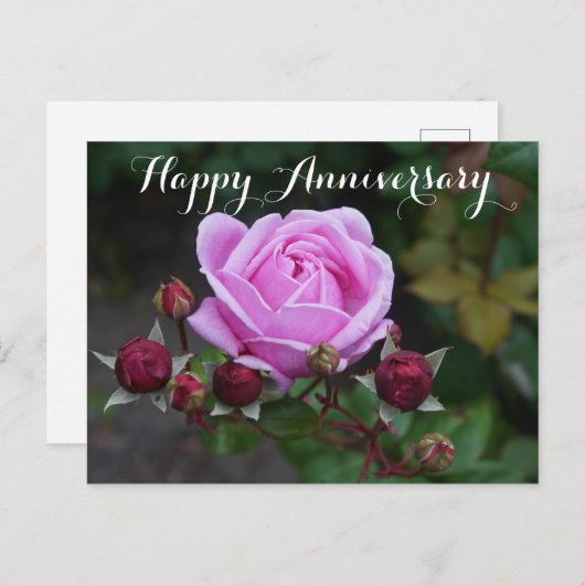 ハッピーアニバーサリービショップ城バラ#1はがき ポストカード (正面/裏面)