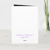 ハッピーアニバーサリー カード (裏面)