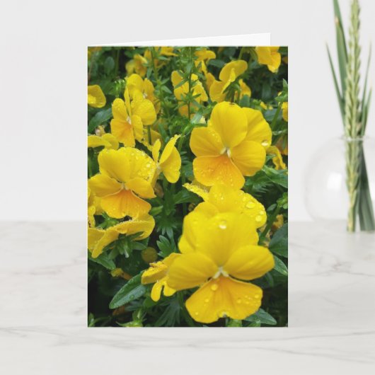 ***ハッピーアニバーサリー**シスター&夫カード カード (正面)