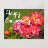 ハッピーアニバーサリー ジョセフ's コート ローズ #1 ポストカード (正面)