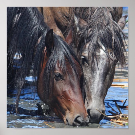 ハッピーアワー ポスター (正面)