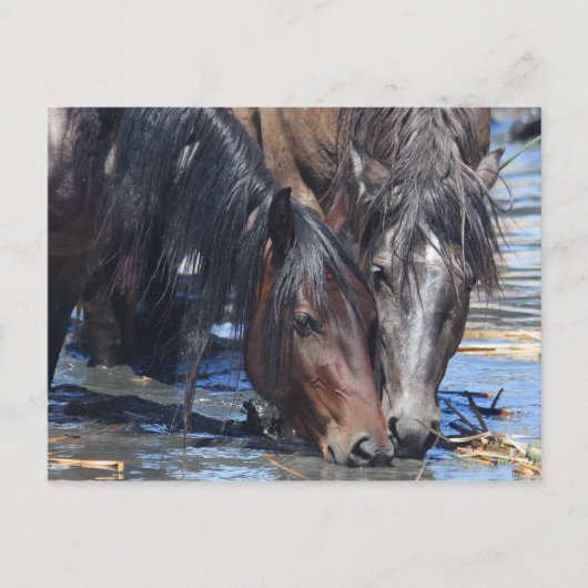 ハッピーアワー ポストカード (正面)