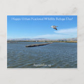 ハッピーアーバン国立野生生物保護記念日! ポストカード (正面)