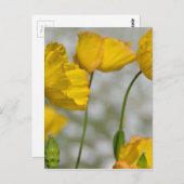 ハッピーイエロー ポストカード (正面/裏面)