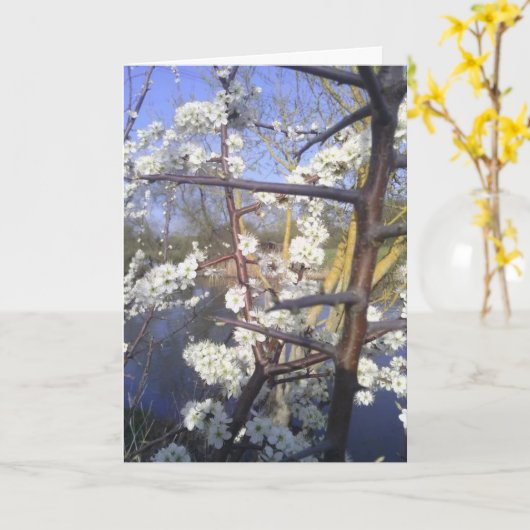 ハッピーインボルク カード (黄色い花)