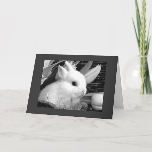 ハッピーイースターと私の「ハニーバニー」 シーズンカード (正面)