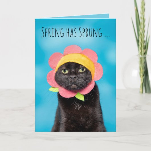ハッピーイースターのかわいいフラワーハットユーモアの猫 シーズンカード (正面)