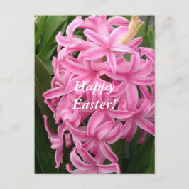 ハッピーイースターのピンクのHyacinthsの花の郵便はがき シーズンポストカード