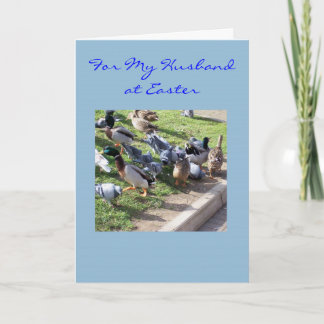 ハッピーイースターの夫のカード – アヒルと鳩 シーズンカード