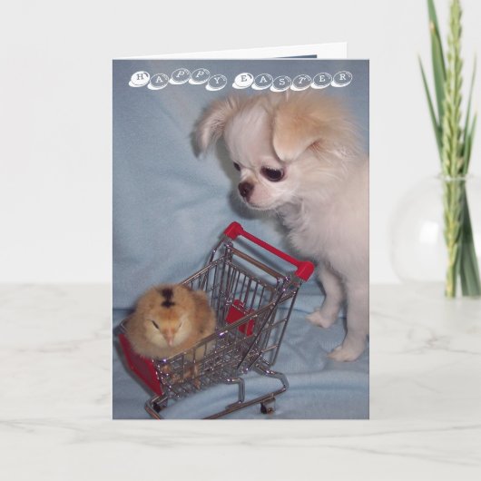 ハッピーイースターの子犬カード シーズンカード (正面)