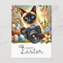 ハッピーイースターの猫好き