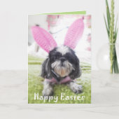 ハッピーイースターのShitzuのバニーの挨拶状 シーズンカード (正面)