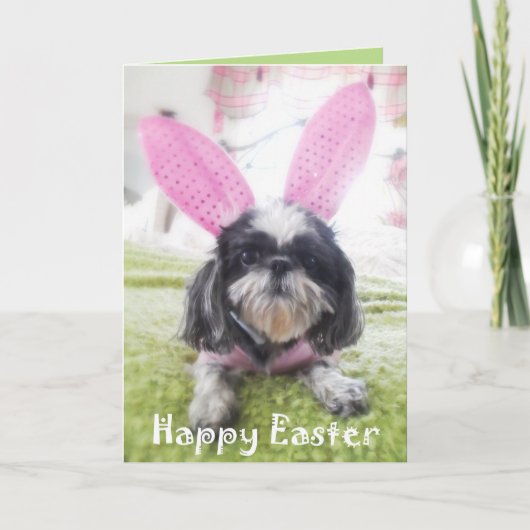 ハッピーイースターのShitzuのバニーの挨拶状 シーズンカード (正面)