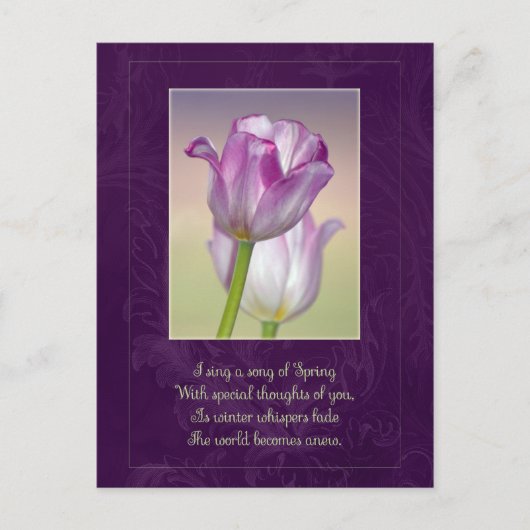 ハッピーイースターはがき/イースターチューリップ シーズンポストカード (正面)