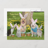 ハッピーイースターはミリーの人間だ！ シーズンポストカード (正面/裏面)