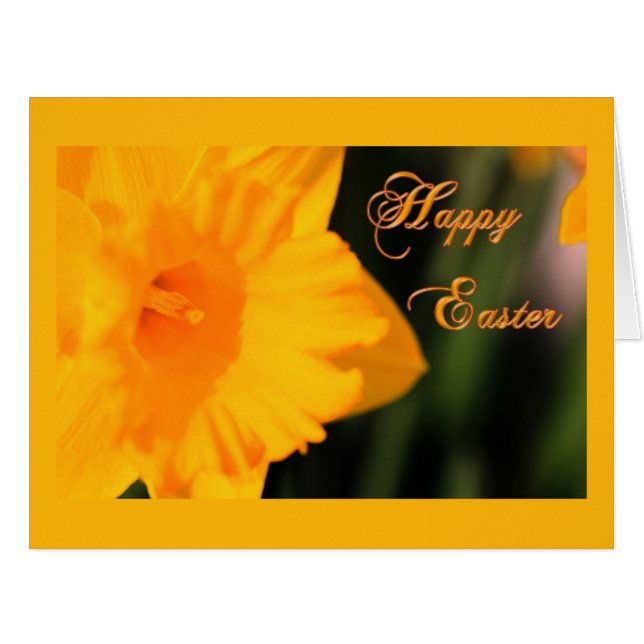 ハッピーイースターイエロー春水仙の花 (正面横)