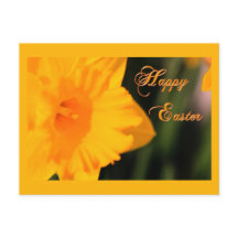 ハッピーイースターイエロー春水仙の花