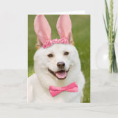 ハッピーイースターエニールズ柴犬ドッグインバニー耳 シーズンカード (正面)