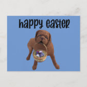 ハッピーイースターカスタムドッグはがき ポストカード (正面)