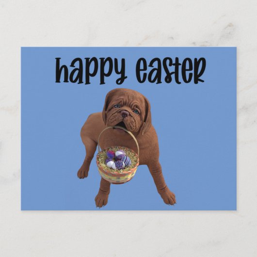 ハッピーイースターカスタムドッグはがき ポストカード (正面)