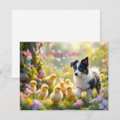 ハッピーイースターコリーアンドチックス シーズンカード (正面/裏面)