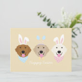 ハッピーイースターゴールデンレトリバードッグ シーズンカード (スタンド正面)