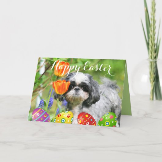 ハッピーイースターシーズー(犬)Tzuガールグリーティングカード シーズンカード (正面)