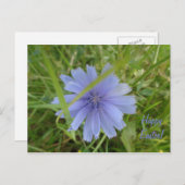 ハッピーイースタースイートブルーフラワーカード シーズンポストカード (正面/裏面)