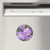 ハッピーイースターパープルクロッカス磁石 マグネット (インサイチュ (食洗機))