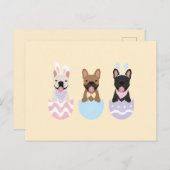 ハッピーイースターフランスのブルドッグ ポストカード (正面/裏面)