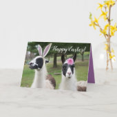 ハッピーイースターフロム2イースターラマス カード (黄色い花)