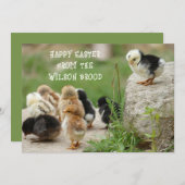 ハッピーイースターベビーチックグリーティングカード 招待状 (正面/裏面)