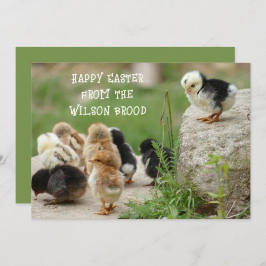 ハッピーイースターベビーチックグリーティングカード 招待状 (正面/裏面)