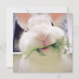 ハッピーイースターホリデーカード シーズンカード