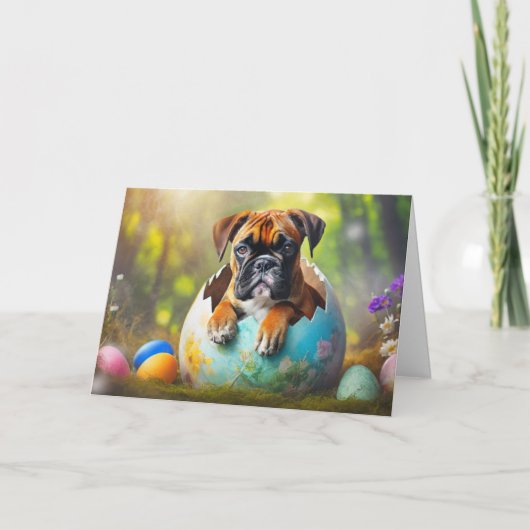 ハッピーイースターボクサー シーズンカード (正面)