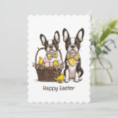 ハッピーイースターボストンテリアドッグス シーズンカード (スタンド正面)