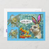 ハッピーイースターメルカットダフォジルスハガキ ポストカード (正面/裏面)