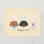 ハッピーイースターモルティポドス ポストカード (正面/裏面)