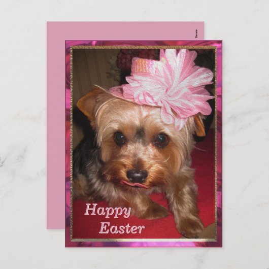 ハッピーイースターヨークシャーテリア シーズンポストカード (正面/裏面)