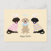 ハッピーイースターラブラドールレトリエバードッグ シーズンポストカード (正面)