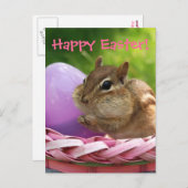 ハッピーイースターリトルチムンク シーズンポストカード (正面/裏面)