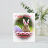ハッピーイースターリトルチムンク シーズンポストカード (スタンド正面)