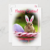 ハッピーイースターリトルチムンク シーズンポストカード (正面/裏面)