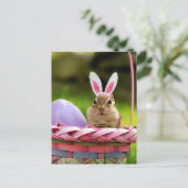 ハッピーイースターリトルチムンク シーズンポストカード (スタンド正面)